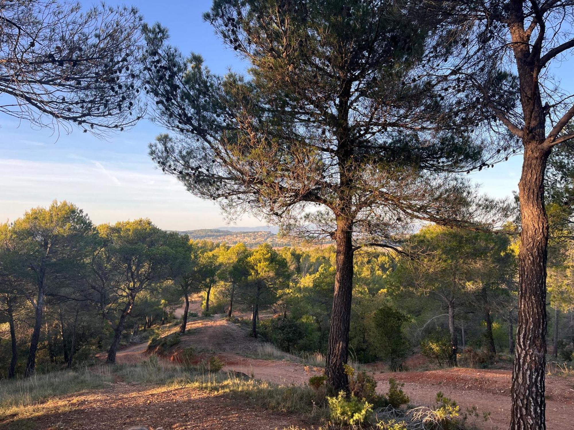 Maison Provencale Au Calme De La Campagne Avec Jacuzzi Aix-en-Provence Eksteriør bilde
